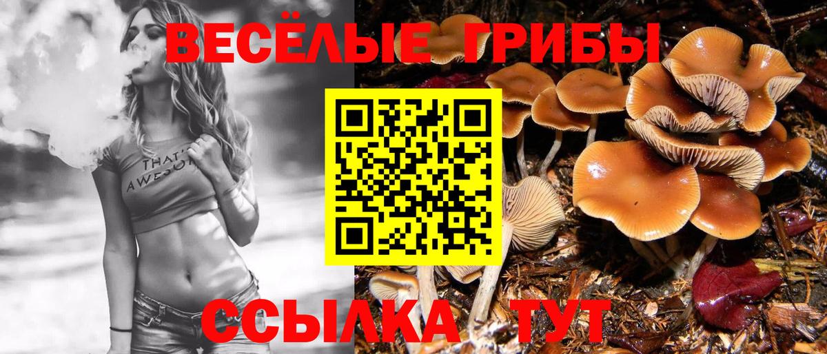 Северодвинск  Псилоцибиновые грибы мицелий  Галлюциногенные грибы MAGIC MUSHROOMS  Вход с VPN 