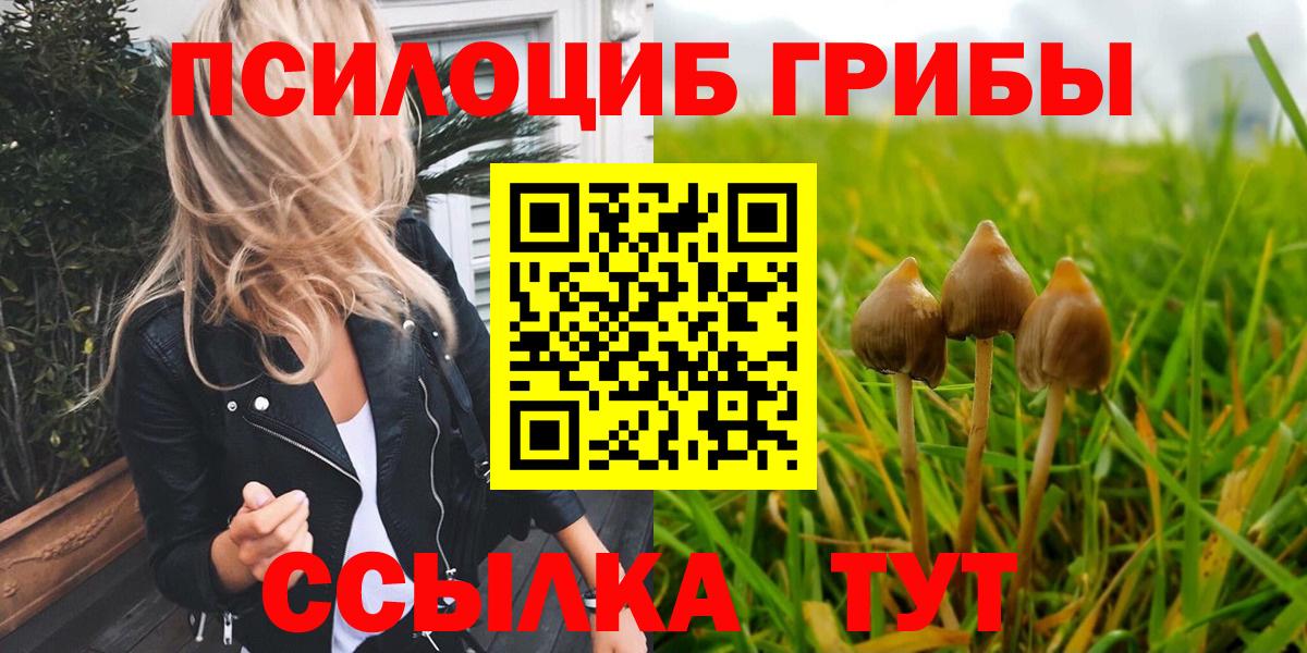 Псилоцибиновые грибы GOLDEN TEACHER Северодвинск